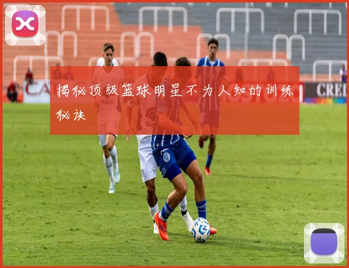 揭秘顶级篮球明星不为人知的训练秘诀
